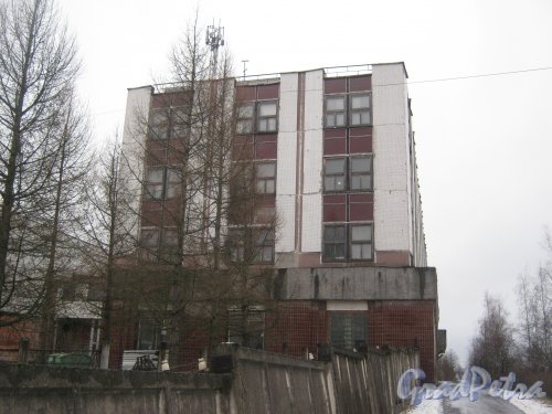 Красное Село (Горелово), ул. Заречная, дом 4а. Фрагмент здания. Фото 4 января 2014 г.