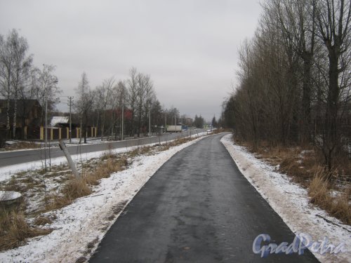 Красное Село (Горелово), ул. Заречная. Перспектива от Дачной ул. в сторону Аннинского шоссе по пешеходной дорожке. Фото 4 января 2014 г.