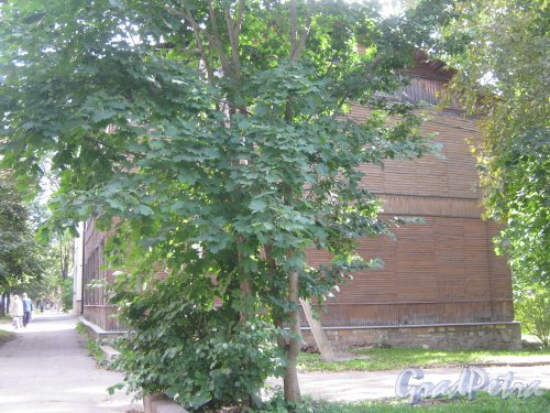 Лен. обл., Гатчинский р-н, г. Гатчина, ул. Чкалова, дом 42. Общий вид со стороны дома 48. Фото август 2013 г.