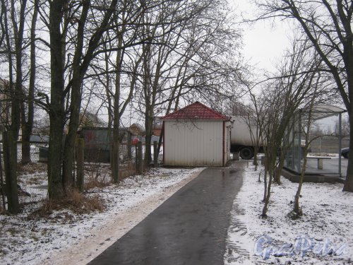 Красное Село (Горелово), ул. Дачная. Общий вид с чётной стороны улицы на ларёк около автобусного (20 маршрут) кольца. Фото 4 января 2014 г.