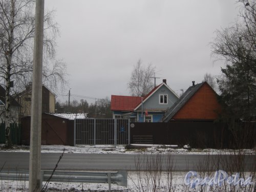 Красное Село (Горелово), ул. Дачная, дом 15. Вид с чётной стороны улицы. Фото 4 января 2014 г.