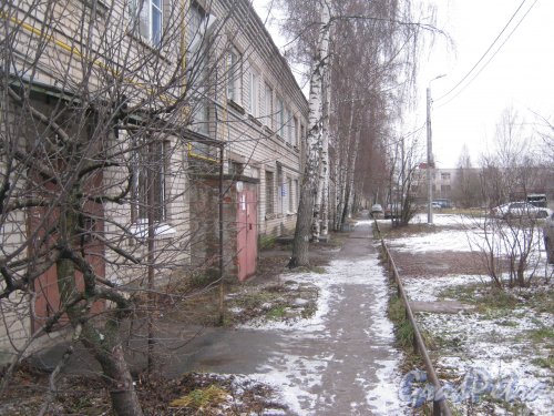 Красное Село (Горелово), ул. Заречная, дом 14. Общий вид со стороны двора и парадных. Фото 4 января 2014 г.