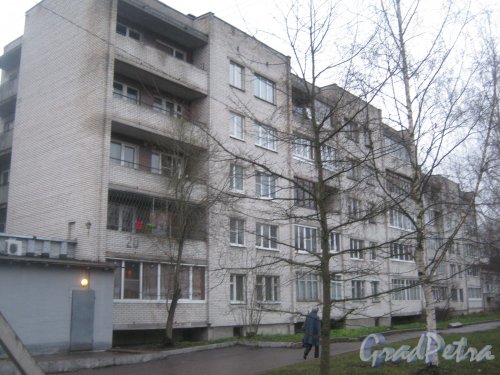 Лен. обл., Гатчинский р-н, г. Гатчина, ул. Гагарина, дом 20. Фрагмент фасада здания. Фото 24 ноября 2013 г.