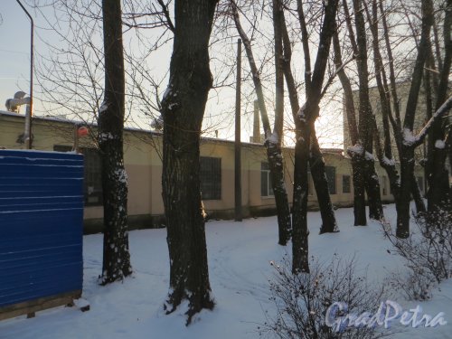 ул. Карбышева, дом 15, лит. С. Общий вид корпуса со стороны площади Мужества. Фото 24 января 2014 г.