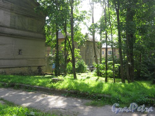 Лен. обл., Гатчинский р-н, г. Гатчина, ул. Чкалова, дом 6 (слева) и 6а (в центре). Фото август 2013 г.