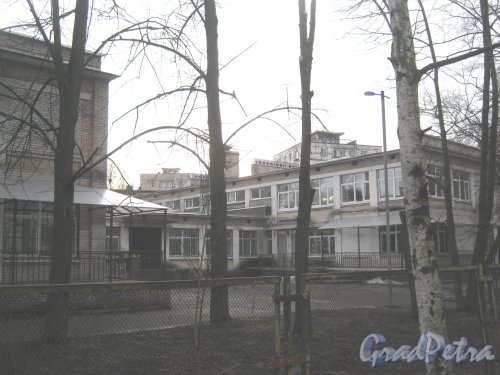 Ул. Зины Портновой, дом 56. Фрагмент здания школы. Вид со стороны дома 48. Фото 24 февраля 2014 г.