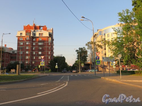 Перспектива Вязовой улицы от Спортивной улицы в сторону Петроградской улицы. Фото 6 июля 2013 года.