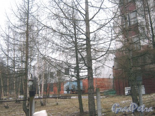 Красное Село (Горелово), ул. Заречная, дом 4а. Вид через забор на территорию. Фото 4 января 2014 г.