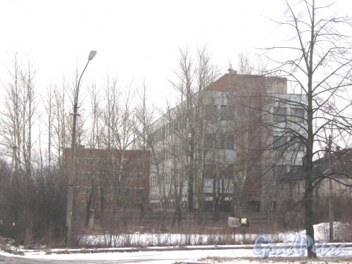 Красное Село (Горелово), ул. Заречная, дом 2. Вид с пересечения Аннинского шоссе и Заречной ул. Фото 4 января 2014 г.