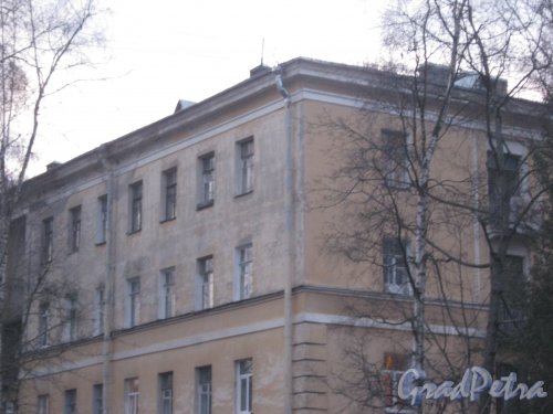 Город Пушкин, ул. Чистякова, дом 2. Фрагмент верхней части фасада. Фото 1 марта 2014 г.