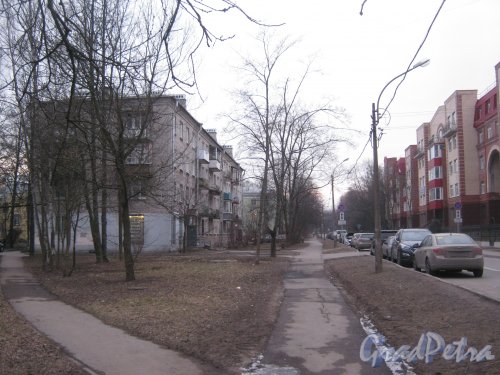Г. Пушкин, ул. Чистякова. Перспектива от дома 9 (впереди слева) в сторону ул. Глинки. Фото 1 марта 2014 г.