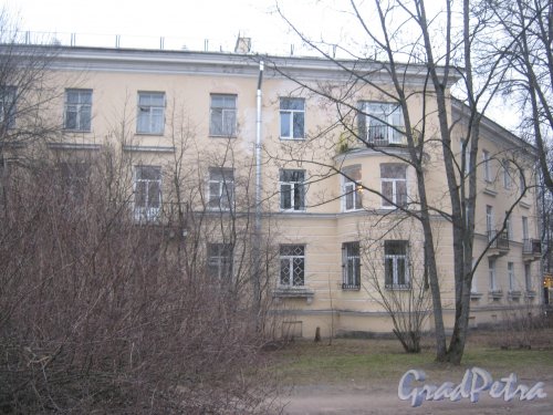 Г. Пушкин, ул. Широкая, дом 1. Фрагмент фасада здания. Фото 1 марта 2014 г.