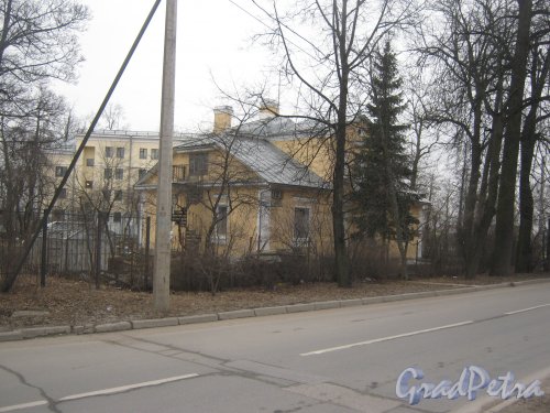 Г. Пушкин, ул. Жуковско-Волынская, дом 12. Вид со стороны дома 3. Фото 1 марта 2014 г.