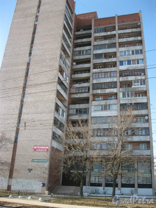 Малая Балканская ул., дом 52. Общий вид здания. Фото 18 марта 2014 г.