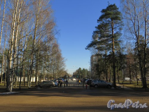 Перспектива улицы Жака Дюкло из парка Сосновка в сторону улицы Курчатова. Фото 26 марта 2014 года.