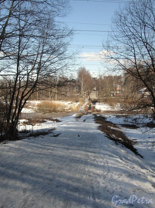 Улица Вологдина. Вид из Шуваловского парка в сторону Карьерной улицы. Фото апрель 2012 г.