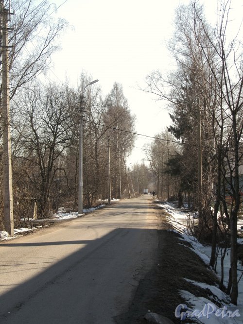 Перспектива Кооперативной улицы от улицы Вологдина в сторону Парнасной улицы. Фото апрель 2012 г.