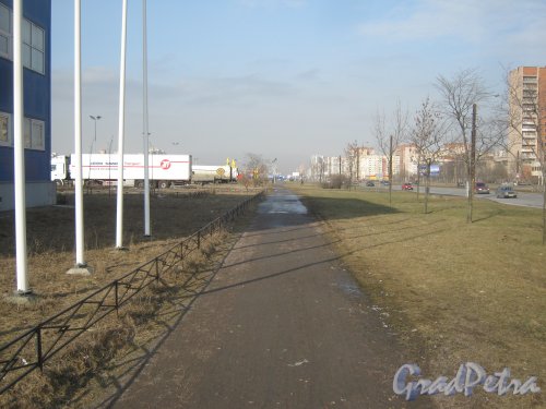 Бухарестская ул. Пешеходная дорожка от ул. Олеко Дундича в сторону ул. Ярослава Гашека. Фото 28 февраля 2014 г.