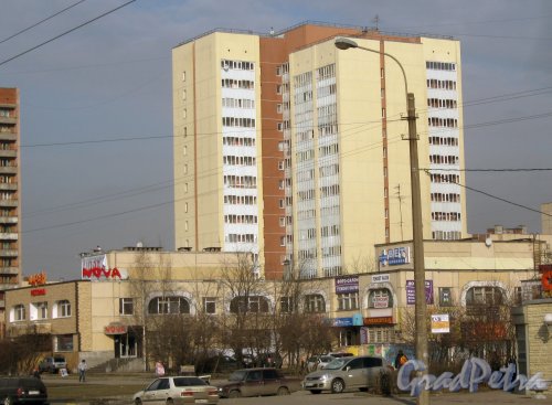 Бухарестская ул., дом 140. Общий вид. Фото 28 февраля 2014 г.