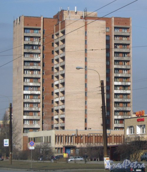 Бухарестская ул., дом 138. Общий вид. Фото 28 февраля 2014 г.