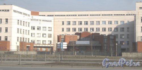 Бухарестская ул., дом 134. Фрагмент здания. Фото 28 февраля 2014 г.