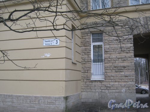 Г. Пушкин, ул. Широкая, дом 3. Фрагмент фасада здания. Фото 1 марта 2014 г.