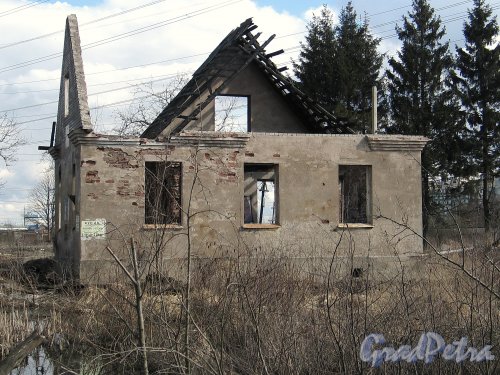 Заречная ул. (Парголово), д. 4. Руины здания. Фото апрель 2014 г.