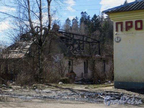 Ул. Вологдина, д. 1. Дом после пожара. Вид с Ольгинской дороги. Фото апрель 2014 г.