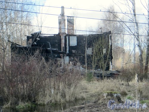 Ул. Вологдина, д. 6. Руины после пожара. Фото апрель 2014 г.