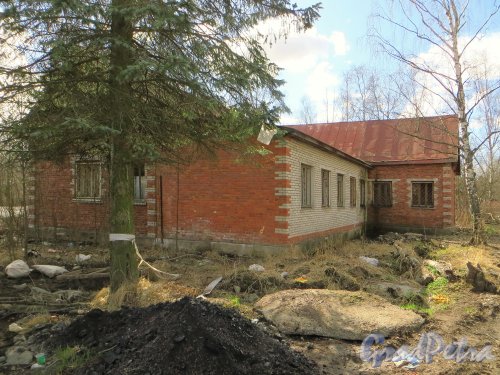 Ул. Вологдина, д. 12. Вид со двора. Фото апрель 2014 г.