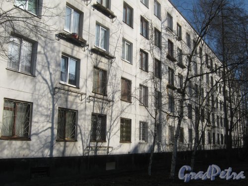 Ул. Подводника Кузьмина, дом 29. Фрагмент здания со стороны фасада. Фото 26 февраля 2014 г.