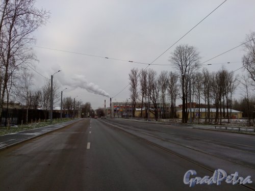 Перспектива улицыжукова от Пискревского проспекта в сторону Феодосийской улицы. Фото 12 января 2014 года.