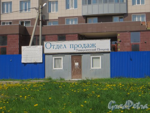 Чичеринская ул., участок 1 (севернее пересечения с Гостилицким шоссе). Отдел продаж на строительной площадке. Фото 19 мая 2014 года.