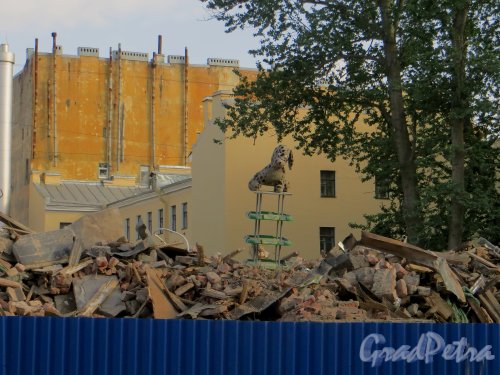 Сытнинская улица, дом 9. Детская собака охраняющая развалины дома 9. Фото 5 июня 2014 года.