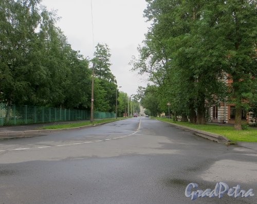 Начальный участок улицы Одоевского от Уральской улицы до Смоленского кладбища. Фото 7 июня 2014 года.