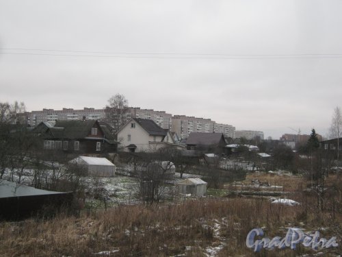 Красное Село (Горелово), ул. Береговая. Общий вид с Аннинского шоссе в сторону домов по улице. Фото 4 января 2014 г.
