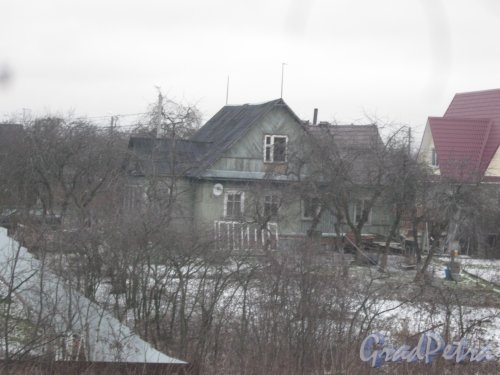 Красное Село (Горелово), ул. Береговая, дом 4. Общий вид с Аннинского шоссе. Фото 4 января 2014 г.