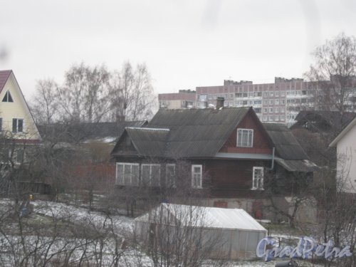 Красное Село (Горелово), ул. Береговая, дом 6. Общий вид с Аннинского шоссе. Фото 4 января 2014 г.