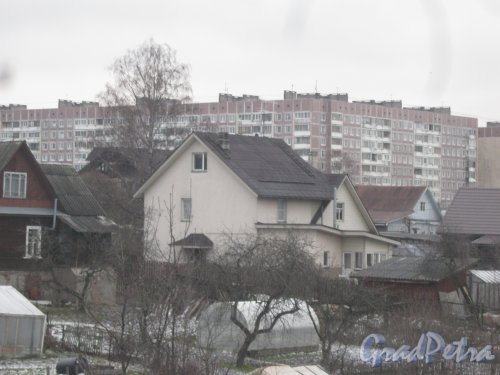 Красное Село (Горелово), ул. Береговая, дом 8. Общий вид с Аннинского шоссе. Фото 4 января 2014 г.