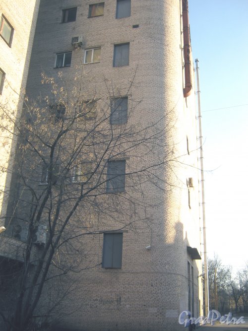 ул. Трефолева, дом 29. Фрагмент здания с ул. Зои Космодемьянской. Фото 26 февраля 2014 г.