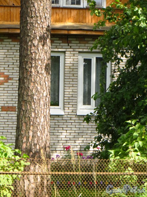 Ленинградская область, Гатчинский район, поселок Вырица, Самарская улица, дом 37. Трещина на фасаде жилого дома, обусловленная тектоническими разломами. Фото 18 августа 2014 года.