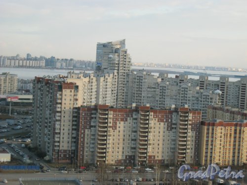 Ул. Савушкина, дом 143, корпус 1 (в центре Фото на заднем плане) Вид с крыши дома 2 по Лыжному пер. Фото 14 апреля 2014 г.