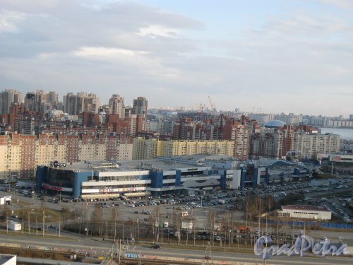 Ул. Савушкина, дом 141. Вид с крыши дома 2 по Лыжному пер. Фото 14 апреля 2014 г.