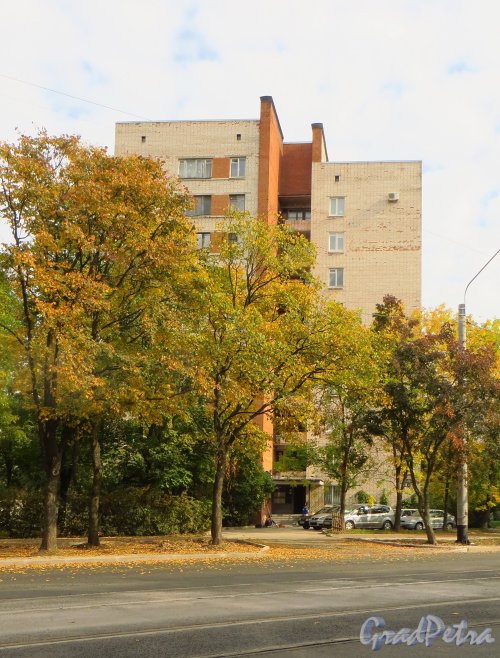 улица Ленсовета, дом 52. Общий вид жилого дома. Фото 19 сентября 2014 года.