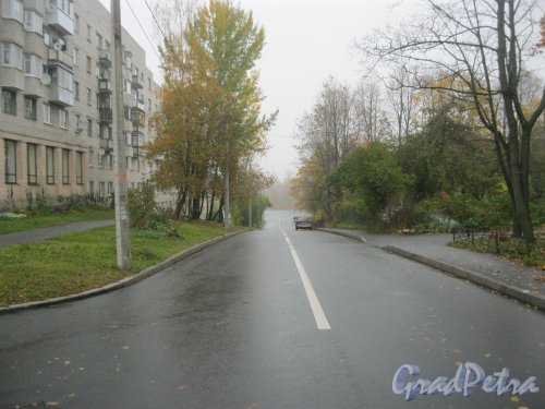 Стрельна, Орловская ул. Вид от дома 2 в сторону Нижней дороги. Фото 14 октября 2014 г.