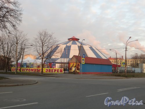 Цирк «Шапито» в Автово. Фото 17 ноября 2014 года.