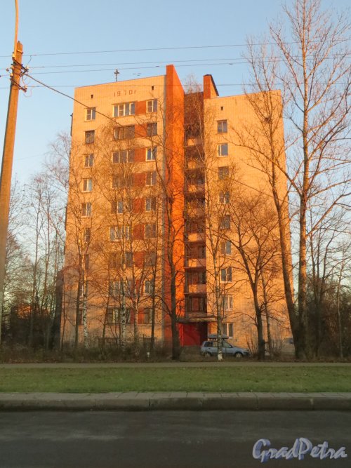 Город Пушкин, Школьная улица, дом 41. Фото 30 октября 2014 года.