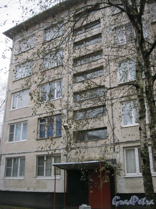Будапештская ул., дом 43, корпус 3. Парадная. Фото 3 ноября 2014 г.