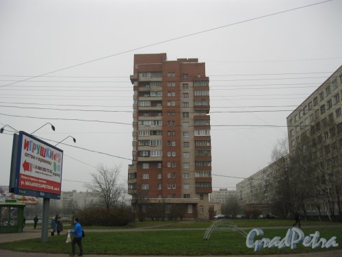 Ул. Димитрова, дом 26. Вид с Бухарестской ул. Фото 3 ноября 2014 г.
