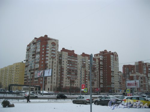 Ул. Савушкина, дом 139. Вид со стороны дома 126. Фото 8 января 2015 г.